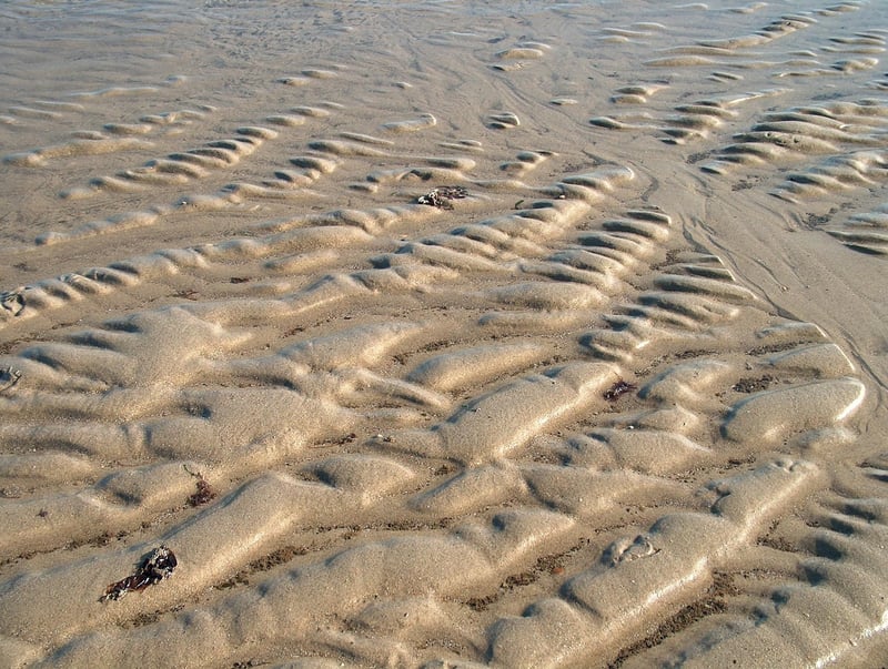 Plastic Bottle Bird Feeder